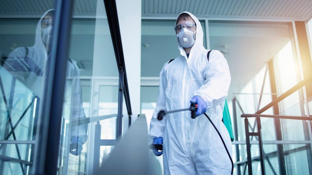 Уничтожение насекомых и внедрение системы HACCP: неоспоримая важность для бизнеса