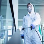 Уничтожение насекомых и внедрение системы HACCP: неоспоримая важность для бизнеса