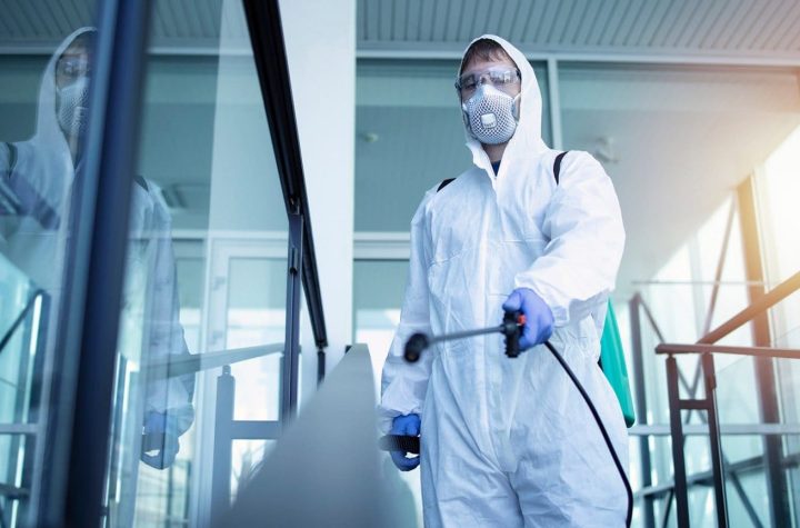 Уничтожение насекомых и внедрение системы HACCP: неоспоримая важность для бизнеса